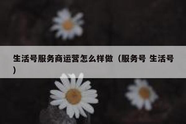 生活号服务商运营怎么样做（服务号 生活号）