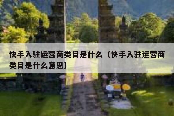 快手入驻运营商类目是什么（快手入驻运营商类目是什么意思）