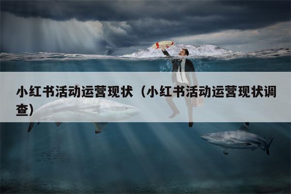 小红书活动运营现状（小红书活动运营现状调查）