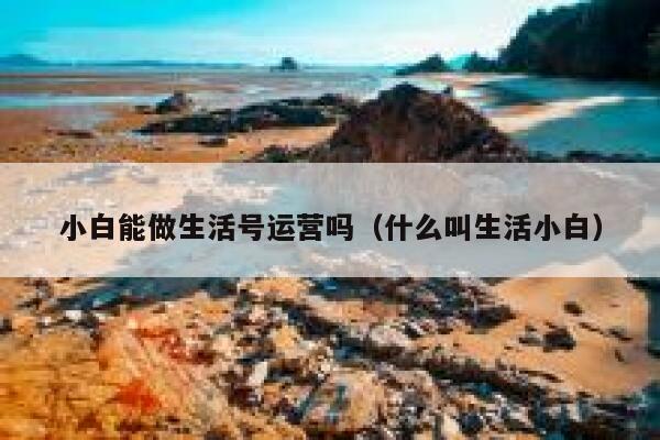 小白能做生活号运营吗（什么叫生活小白）