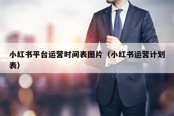 小红书平台运营时间表图片（小红书运营计划表）