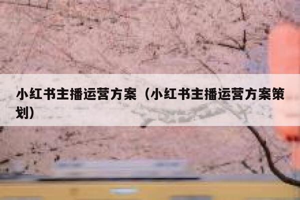 小红书主播运营方案（小红书主播运营方案策划）
