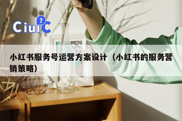 小红书服务号运营方案设计（小红书的服务营销策略）