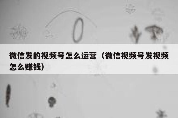 微信发的视频号怎么运营（微信视频号发视频怎么赚钱）
