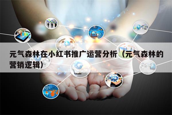 元气森林在小红书推广运营分析（元气森林的营销逻辑）