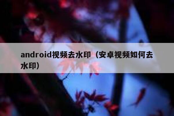 android视频去水印（安卓视频如何去水印）
