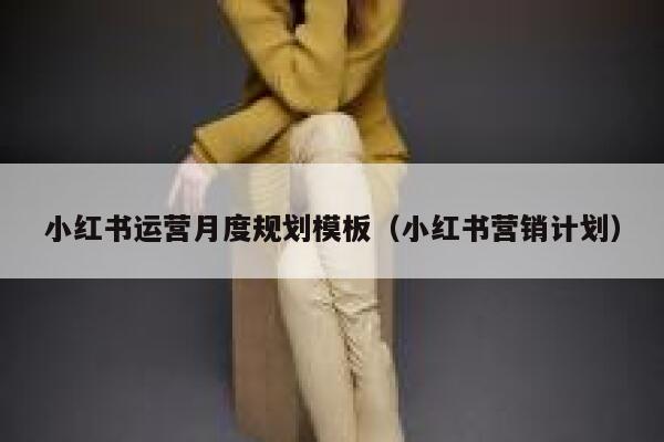 小红书运营月度规划模板（小红书营销计划）