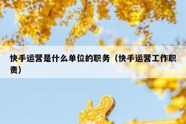 快手运营是什么单位的职务（快手运营工作职责）