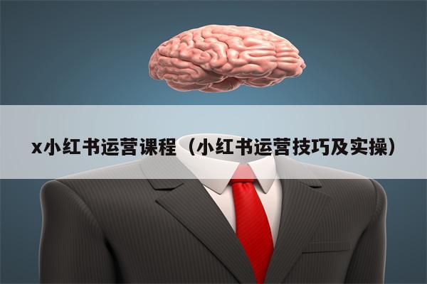 x小红书运营课程（小红书运营技巧及实操）