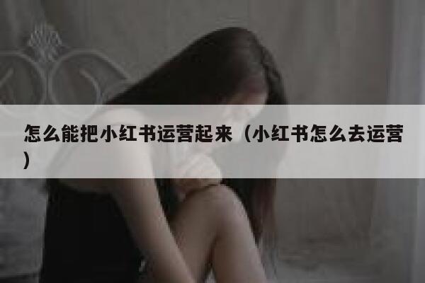 怎么能把小红书运营起来（小红书怎么去运营）