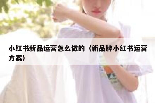 小红书新品运营怎么做的（新品牌小红书运营方案）