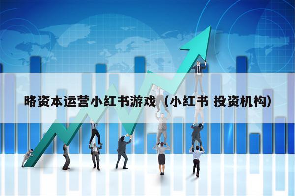 略资本运营小红书游戏（小红书 投资机构）
