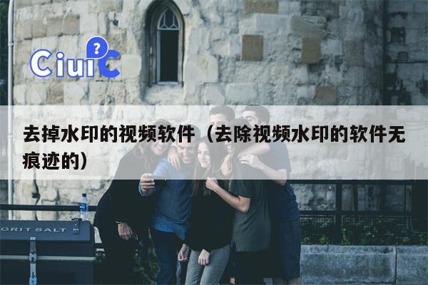去掉水印的视频软件（去除视频水印的软件无痕迹的）