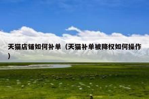 天猫店铺如何补单（天猫补单被降权如何操作）