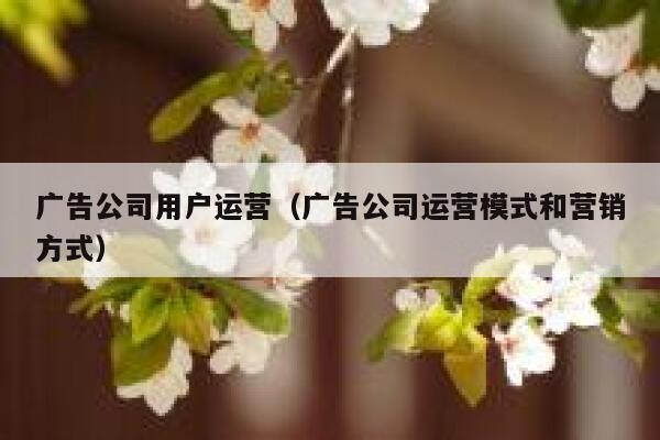 广告公司用户运营（广告公司运营模式和营销方式）