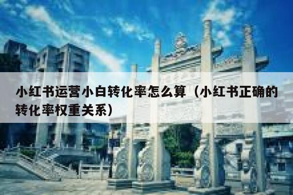 小红书运营小白转化率怎么算(小红书正确的转化率权重关系)