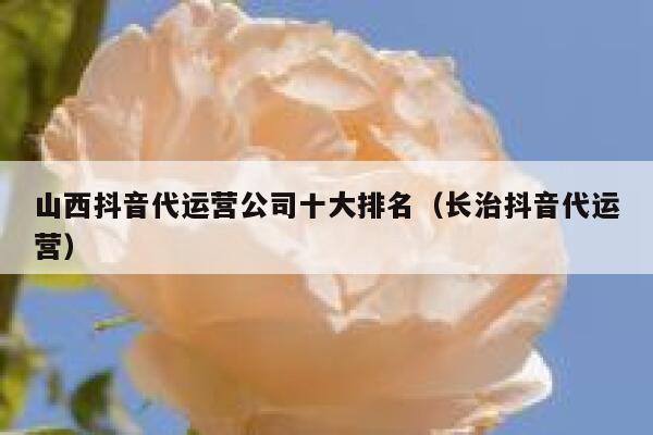 山西抖音代运营公司十大排名（长治抖音代运营）