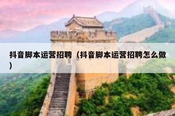 抖音脚本运营招聘（抖音脚本运营招聘怎么做）