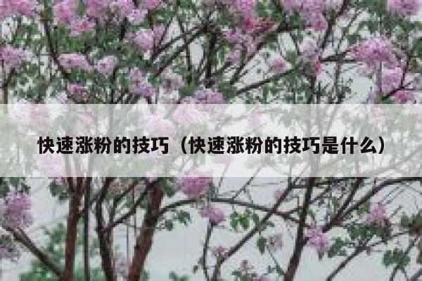 快速涨粉的技巧（快速涨粉的技巧是什么）
