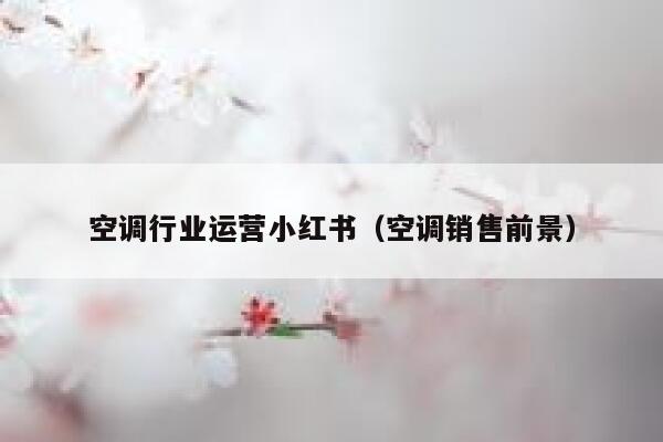 空调行业运营小红书（空调销售前景）