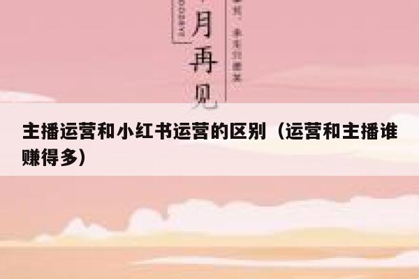主播运营和小红书运营的区别（运营和主播谁赚得多）