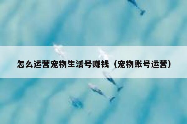 怎么运营宠物生活号赚钱（宠物账号运营）