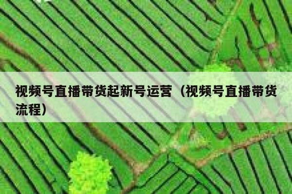 视频号直播带货起新号运营（视频号直播带货流程）