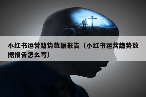 小红书运营趋势数据报告（小红书运营趋势数据报告怎么写）
