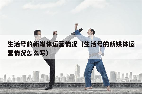 生活号的新媒体运营情况（生活号的新媒体运营情况怎么写）