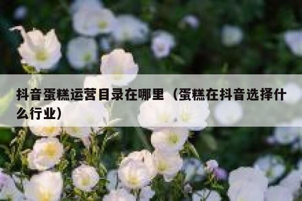 抖音蛋糕运营目录在哪里（蛋糕在抖音选择什么行业）