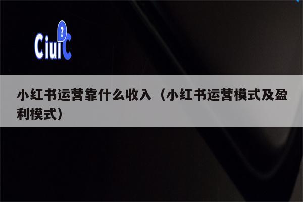 小红书运营靠什么收入（小红书运营模式及盈利模式）