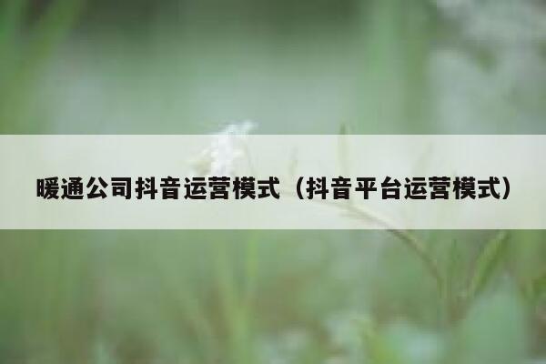 暖通公司抖音运营模式（抖音平台运营模式）