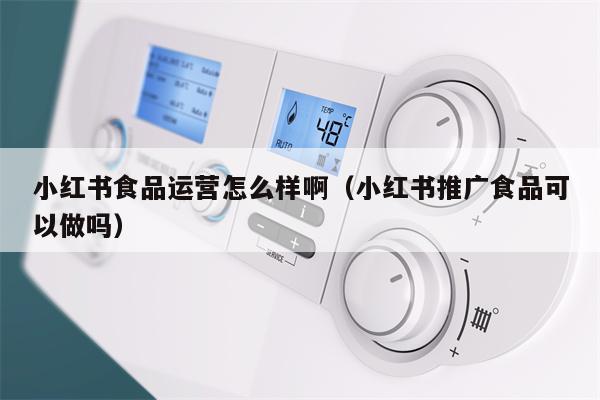 小红书食品运营怎么样啊（小红书推广食品可以做吗）