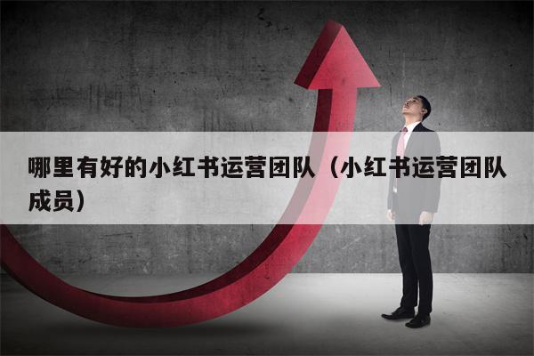 哪里有好的小红书运营团队（小红书运营团队成员）