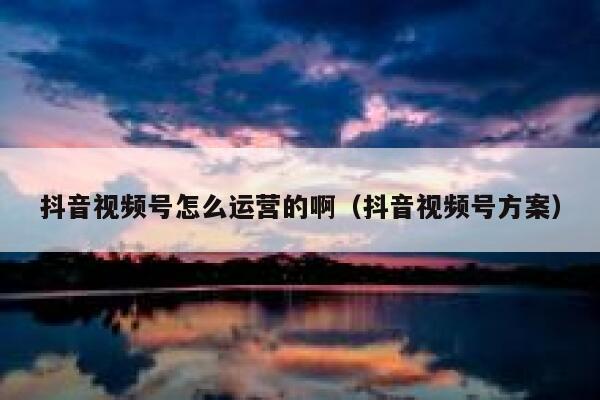 抖音视频号怎么运营的啊（抖音视频号方案）