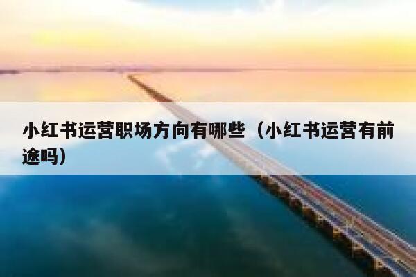 小红书运营职场方向有哪些（小红书运营有前途吗）