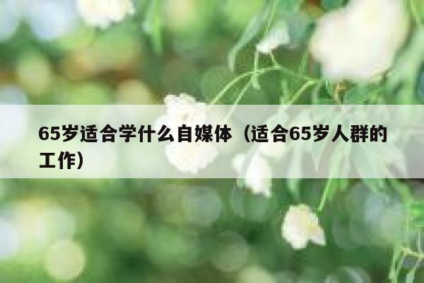 65岁适合学什么自媒体（适合65岁人群的工作）