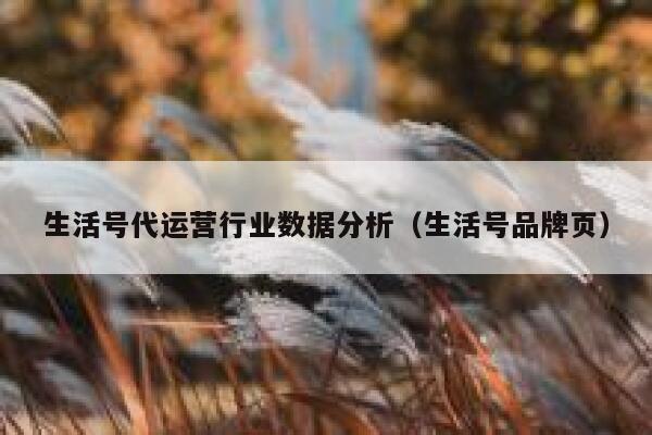 生活号代运营行业数据分析（生活号品牌页）