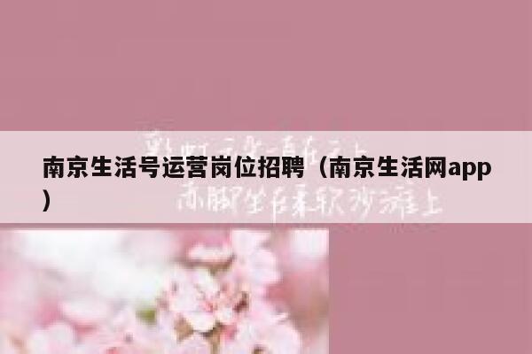 南京生活号运营岗位招聘（南京生活网app）