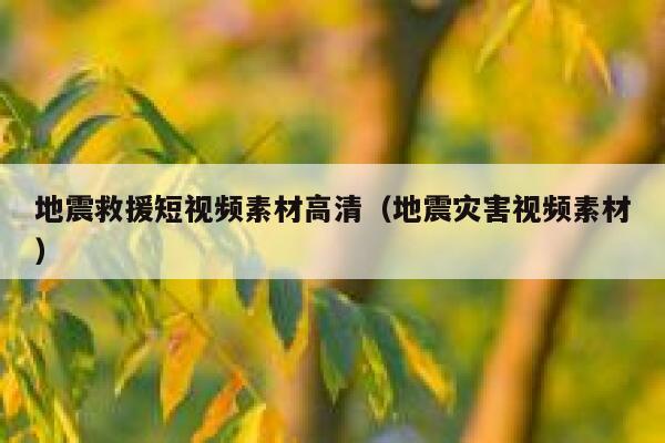 地震救援短视频素材高清（地震灾害视频素材）