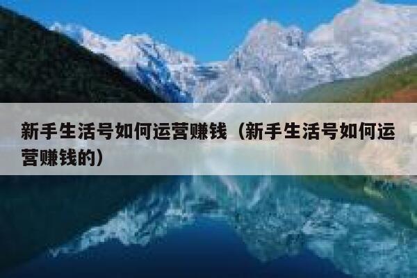 新手生活号如何运营赚钱（新手生活号如何运营赚钱的）