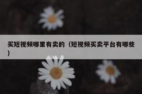 买短视频哪里有卖的（短视频买卖平台有哪些）