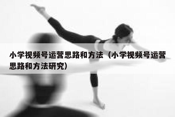 小学视频号运营思路和方法（小学视频号运营思路和方法研究）