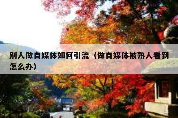 别人做自媒体如何引流（做自媒体被熟人看到怎么办）