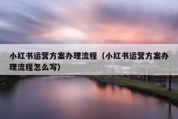 小红书运营方案办理流程(小红书运营方案办理流程怎么写)