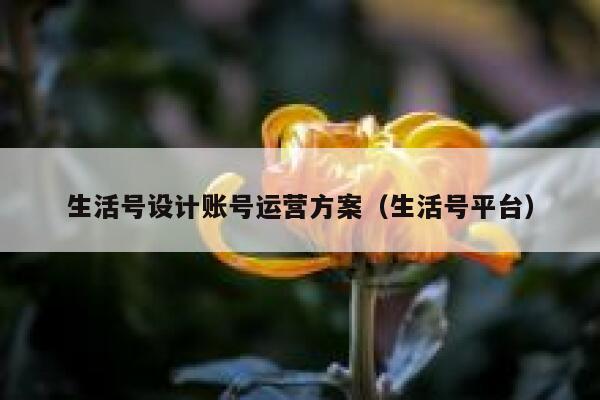 生活号设计账号运营方案（生活号平台）