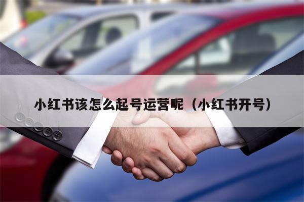 小红书该怎么起号运营呢（小红书开号）