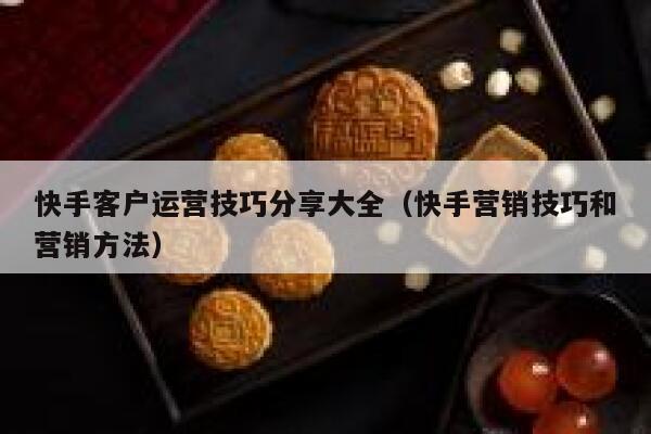 快手客户运营技巧分享大全（快手营销技巧和营销方法）