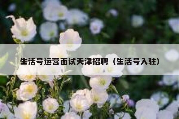 生活号运营面试天津招聘（生活号入驻）