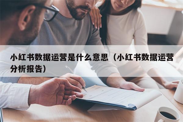 小红书数据运营是什么意思（小红书数据运营分析报告）